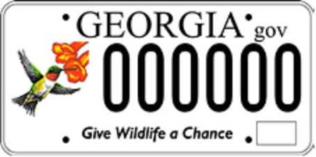 georgia license plate